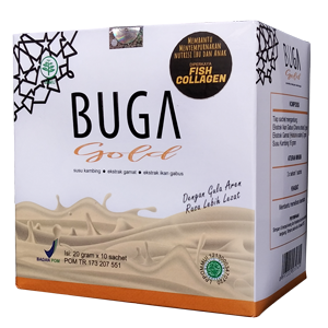 kotak buga gold