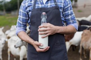 Lima Agen Susu Kambing Etawa Paling Dicari