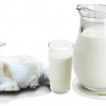 Susu Collagen Rendah Lemak, Nutrisi Baik untuk Kecantikan Kulit