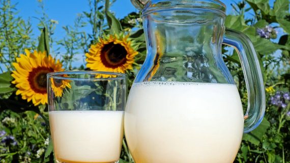 Amankah Anak Konsumsi Olahan Susu Kambing Etawa? Cek Faktanya