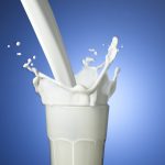 Khasiat Susu Kambing Etawa, Meningkatkan Produktivitas ASI