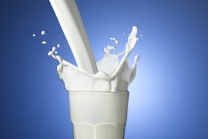 Khasiat Susu Kambing Etawa, Meningkatkan Produktivitas ASI