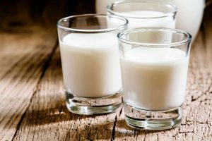 Jual Susu Kambing Etawa Terdekat