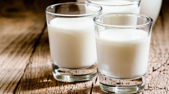 Memenuhi Kebutuhan Nutrisi dengan Susu Kambing Etawa