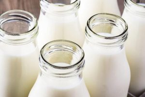 Distributor Susu Kambing Etawa Ternama dan Berkualitas