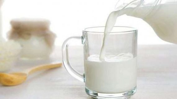 Manfaat Penting Susu Kambing Etawa untuk Kesehatan Tubuh