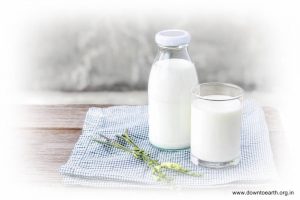 Jual Susu Kambing Etawa Pilihan