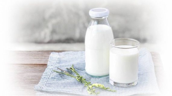 Jual Susu Kambing Etawa Pilihan