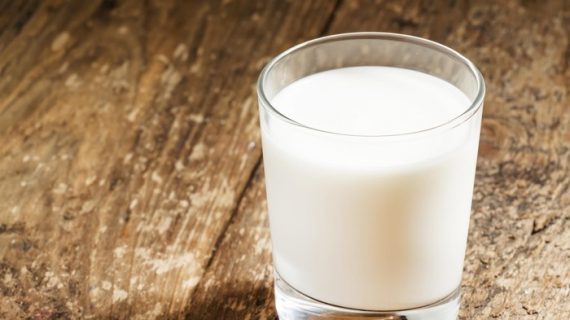 Susu Kambing Etawa Bisa Berfungsi untuk Menjaga Ibu dan Anak