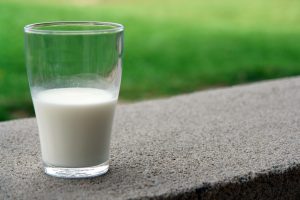 Manfaat Susu Kambing Etawa Sebagai Booster ASI
